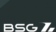 BSG GROUP