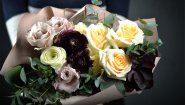 Studio Floristic