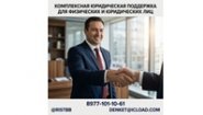 Профессиональный юрист