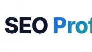 Seo-profit