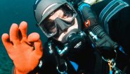 Дайвград - Морской подводный клуб