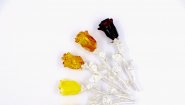 Amber-регион