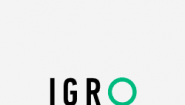 Тренинговая компания IGRO