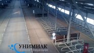 Стойловое оборудование для привязного и беспривязного содержания КРС от производителя ООО «Унимилк».