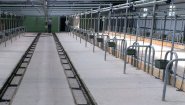 Стойловое оборудование для привязного и беспривязного содержания КРС от производителя ООО «Унимилк».