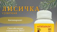 Лисичка обыкновенная