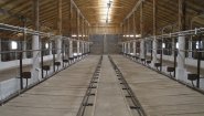 Стойловое оборудование для привязного и беспривязного содержания КРС от производителя ООО «Унимилк».