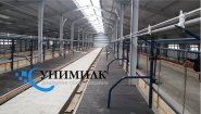 Стойловое оборудование для привязного и беспривязного содержания КРС от производителя ООО «Унимилк».